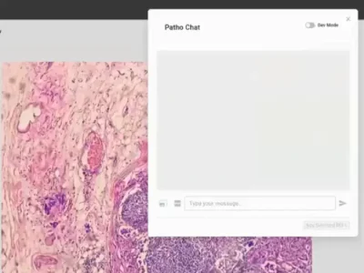スクリーンショット 2024-10-31 231342